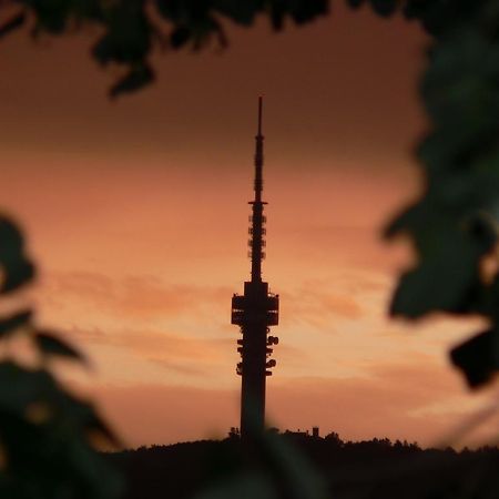Rosmarinus Apartman Pécs Zewnętrze zdjęcie