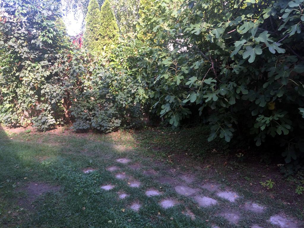 Rosmarinus Apartman Pécs Zewnętrze zdjęcie
